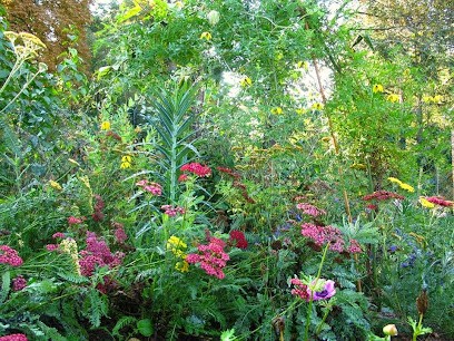 Arnaud Brouté Jardinier-Paysagiste, Pépinières de La Rejonière, Paysagiste à Ternand