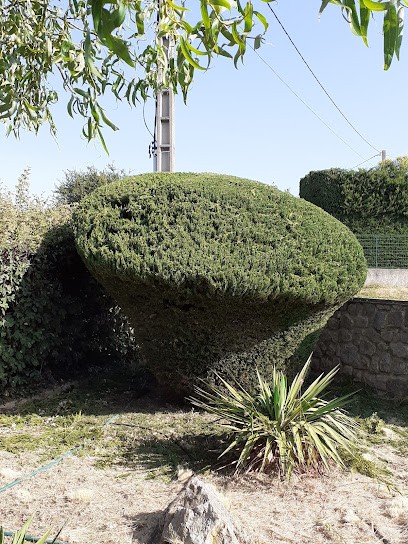 Vert Chez Vous - Paysagiste, Paysagiste à Donzère