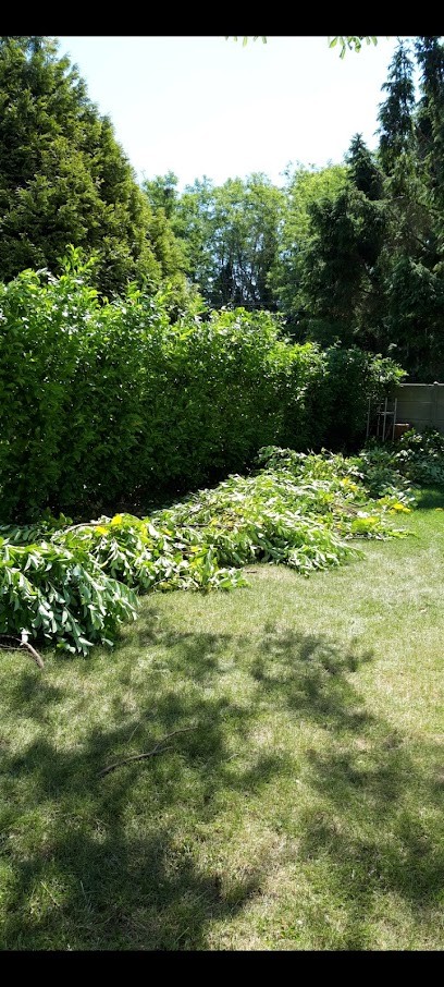 Jerome Entretien Extérieur, Paysagiste à Haveluy