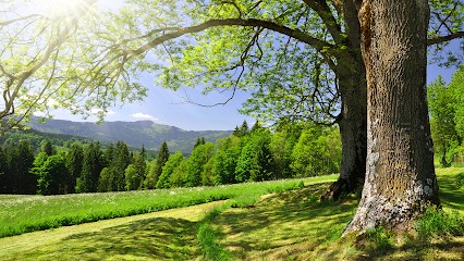 Cougnard Sarl, Paysagiste à Taverny