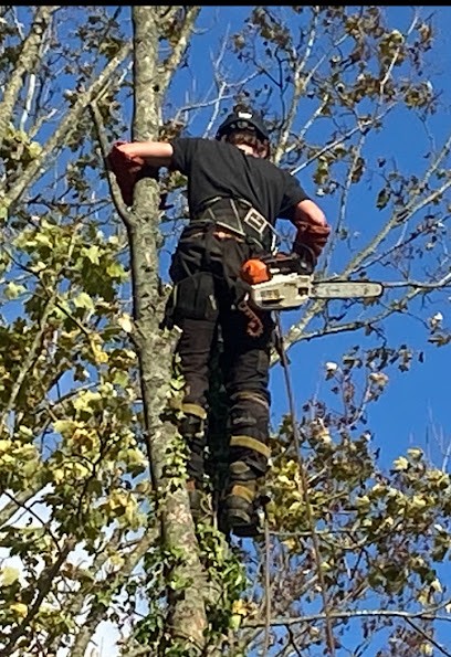 Renov'exterieur, Paysagiste à Viarmes