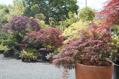 Les Jardins de la Buissonnière - anciennement Le Jardin des Robinières, Paysagiste à Beaucouzé