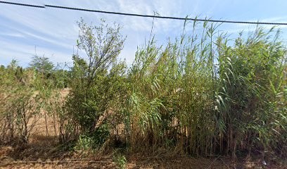 Evolut Garden, Paysagiste à Eyragues