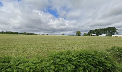 Le Jardinier Des Saisons, Paysagiste à Guignen