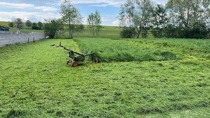 B.p. Services Entretiens Espaces Vert, Paysagiste à Rémering-lès-Puttelange