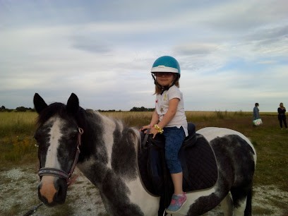 Mairesse Jean Marc/J.M.M Services, Paysagiste à Vis-en-Artois