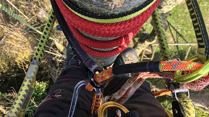 Abatelag, Paysagiste à Marly-le-Roi