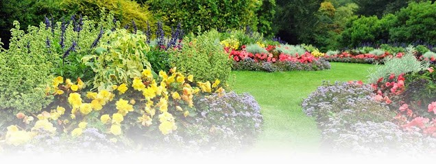 Nico Paysage, Paysagiste à Moisson