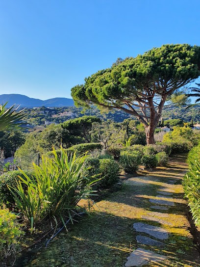 Tendances Jardins gazon synthétique, Paysagiste à Cavalaire-sur-Mer