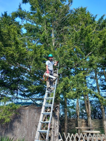 Espace Vert DUAULT, Paysagiste à Mesnard-la-Barotière