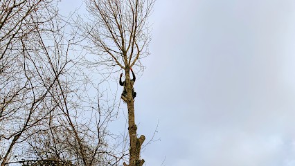 ENT BRUN, Paysagiste à Rochy-Condé