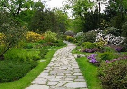 Entreprise Saps La Solution, Paysagiste à Saint-Genest-Lerpt