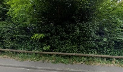 Craquelin Samuel, Paysagiste à Lillebonne