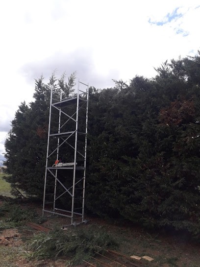 Thevenin Espace Vert, Paysagiste à Neuvy-sur-Barangeon