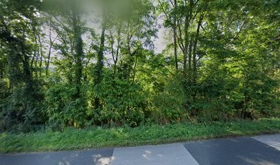 Tendances Et Jardins D'Aujourd'hui, Paysagiste à Gennes-Val-de-Loire