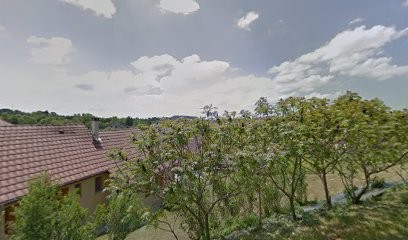 Goncalves Da Silva Miguel, Paysagiste à Cogna