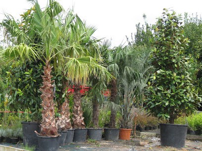 Floriparc, Paysagiste à Saint-Jean-de-Luz