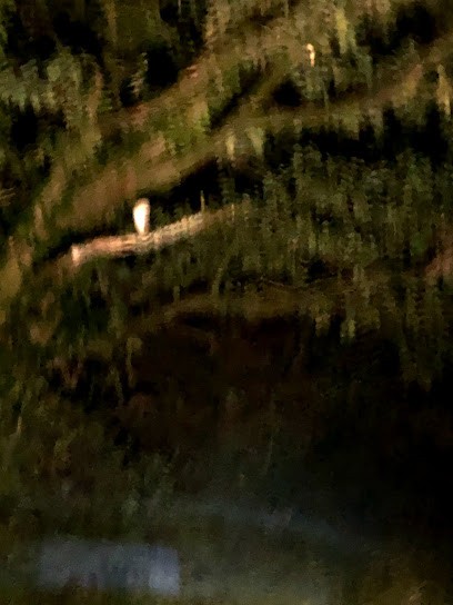 Vion Environnement, Paysagiste à Cerizay