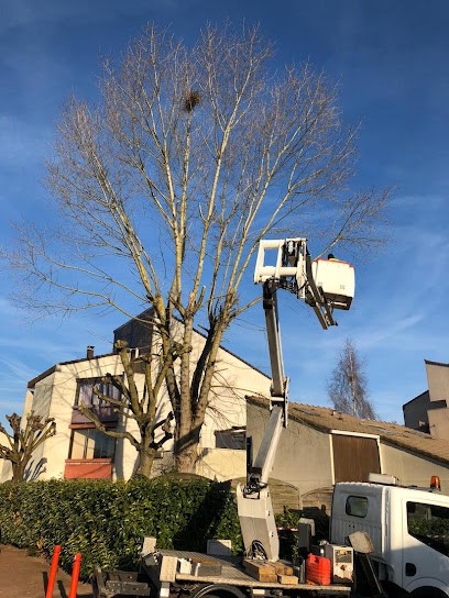 M. Lamon, Paysagiste à Champigny-sur-Marne