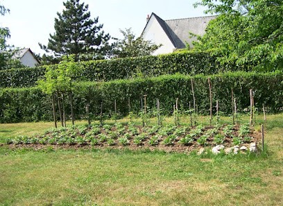 Imagine Jardin, Paysagiste à Semblançay