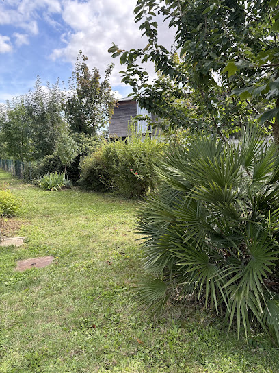 Paysage Air Et Terre Élagueur Forges‑Les‑Bains Paysagiste 91 Essonne Jardinier Paysagiste à Forges-les-Bains