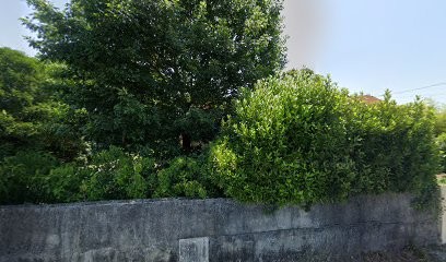 Cassaigne Paysage, Paysagiste à Eysines