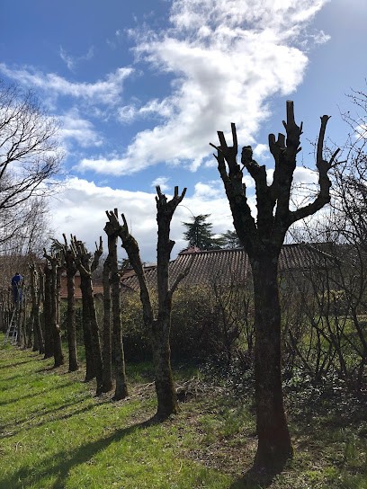 Gouttenoire andré ( Sud ouest Paysage ), Paysagiste à Pollionnay