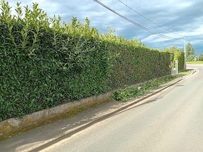 Entretien Espace Vert Parc Et Jardin Elagage, Paysagiste à Ibos