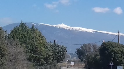 Alonso Franck, Paysagiste à Modène