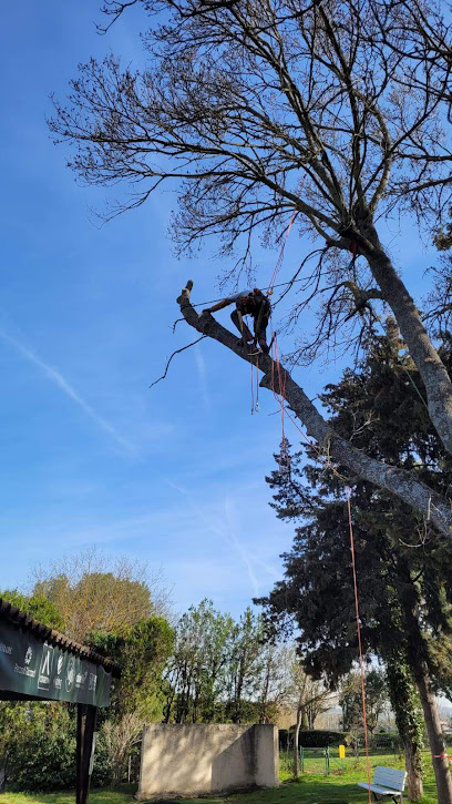 Les Jardins D'antoine Paysagiste à Cotignac