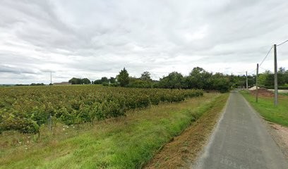 Pateau Stéphane - Paysagiste33.net, Paysagiste à Saint-Michel-de-Fronsac