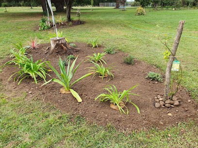 Délices du jardin, Paysagiste à Pexiora
