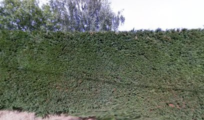 Action Jardin, Paysagiste à Volvic