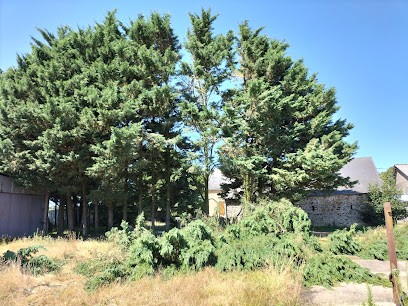 Élagueur Paysagiste, Paysagiste à Fougères