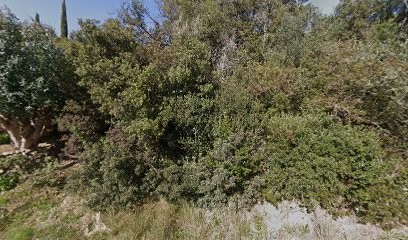 Karas Michel, Paysagiste à Carqueiranne