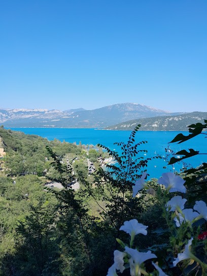 Amamelis Paysage, Paysagiste à Valensole