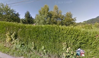 challand lionel espaces verts, Paysagiste à Menthon-Saint-Bernard