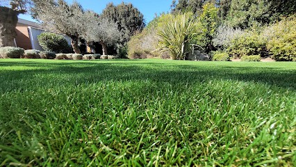 Vente green, Paysagiste à Zonza