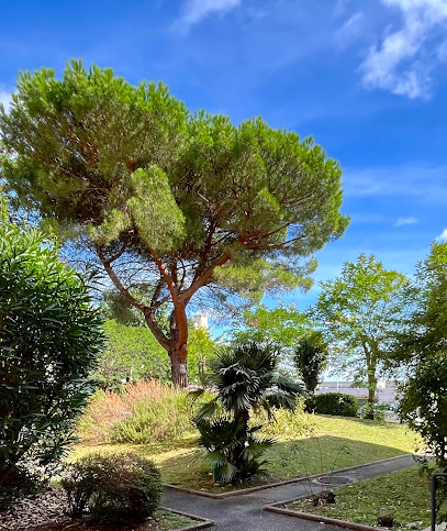 Rhinovert, Paysagiste à Colomiers