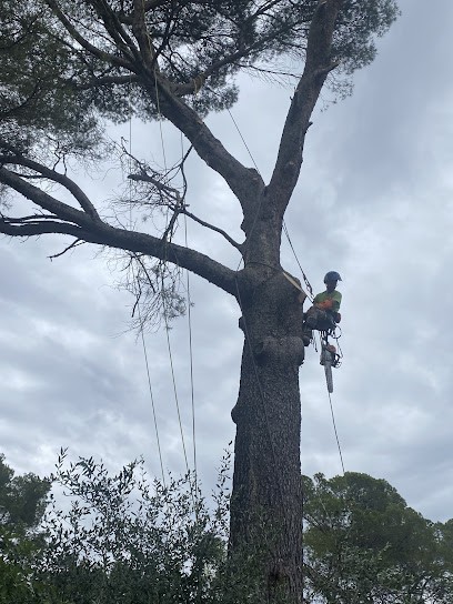 Mortreux Julien, Paysagiste à Tourrettes