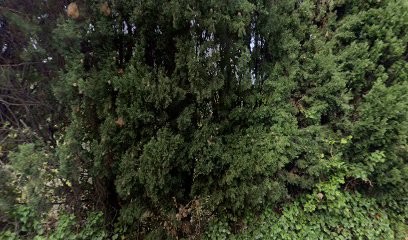 Les jardins du pays mentonnais, Paysagiste à Menton