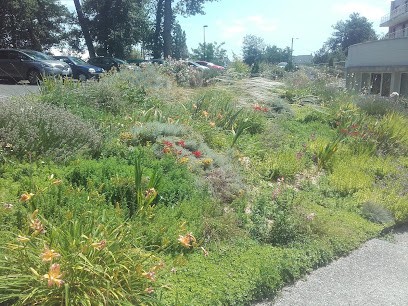 Le Jardin Se Crée, Paysagiste à Huismes
