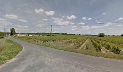 Desbois Didier, Paysagiste à Benais