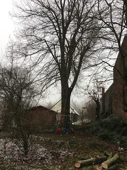 Ets. RAOUT Dimitri, Paysagiste à Élesmes