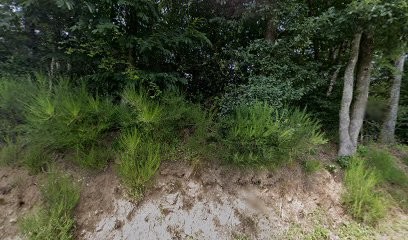 Tougreen, Paysagiste à Saint-Prix