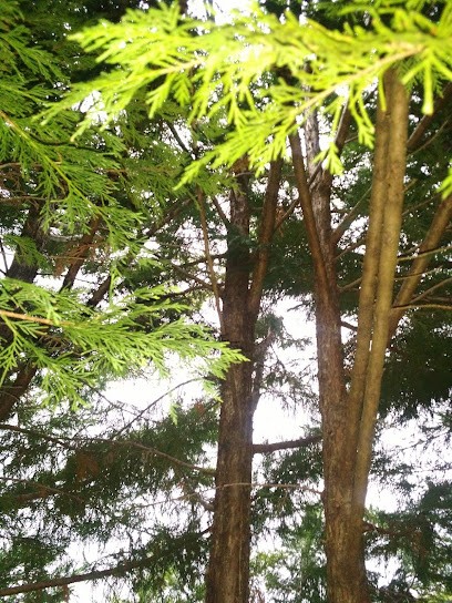 Paysagiste / LES QUATRE SAISONS / Sébastien Jonquières, Paysagiste à Terssac