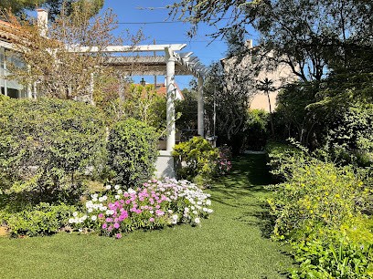 Mille Et Une Branche, Paysagiste à Solliès-Pont