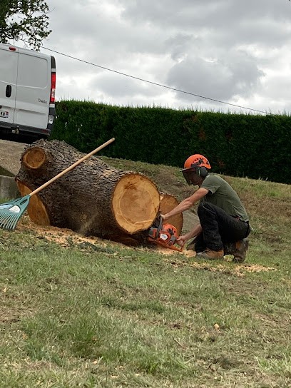Julien Abadie - Artisan Paysagiste, Paysagiste à Montlaur