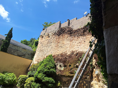 Le Nain Vert, Paysagiste à Mazières-de-Touraine