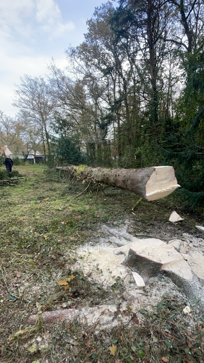 Herborizon Paysagiste à Machecoul-Saint-Même